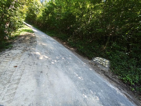 Prepust Kostanjevica 1